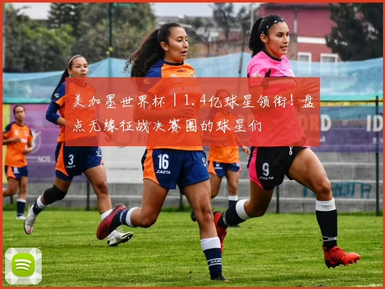 美加墨世界杯|1.4亿球星领衔! 盘点无缘征战决赛圈的球星们