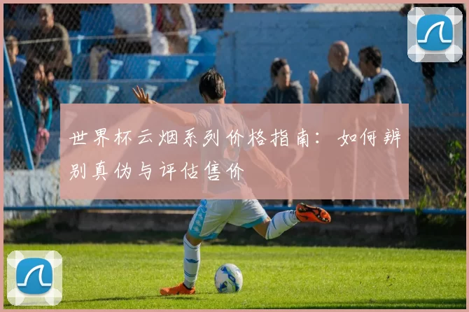 世界杯云烟系列价格指南：如何辨别真伪与评估售价