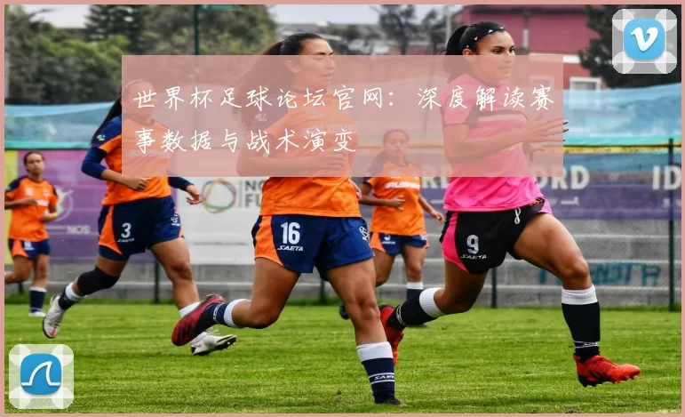 世界杯足球论坛官网：深度解读赛事数据与战术演变