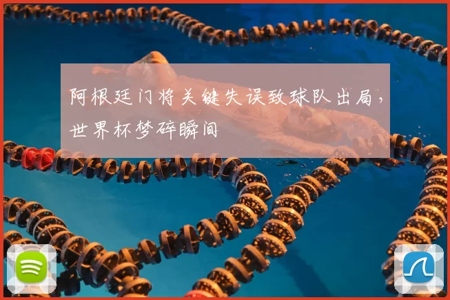 阿根廷门将关键失误致球队出局,世界杯梦碎瞬间