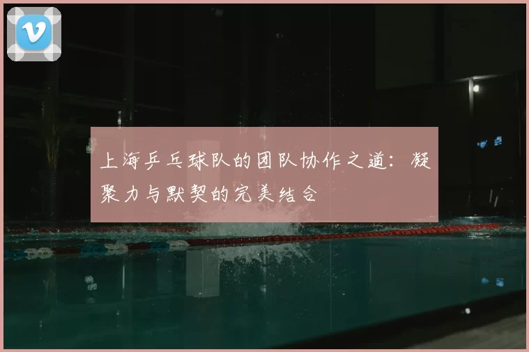 上海乒乓球队的团队协作之道:凝聚力与默契的完美结合