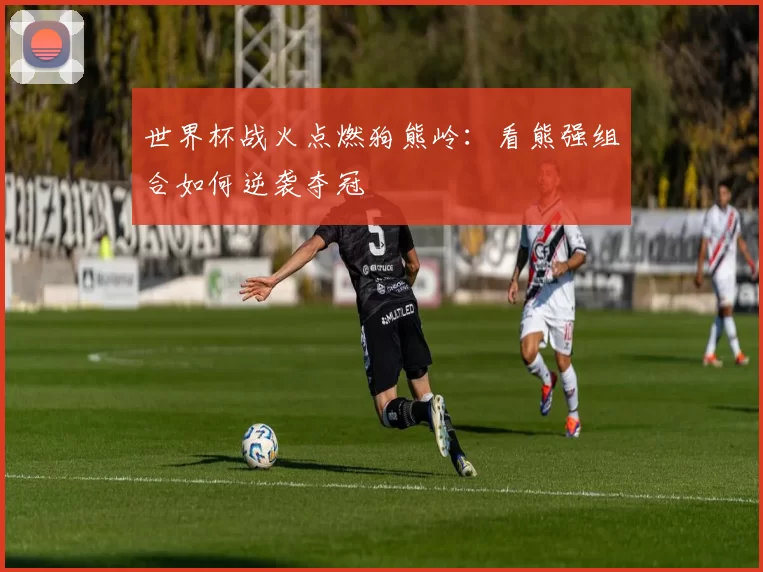 世界杯战火点燃狗熊岭:看熊强组合如何逆袭夺冠