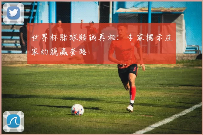 世界杯赌球赔钱真相:专家揭示庄家的稳赢套路