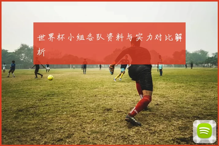 世界杯小组各队资料与实力对比解析