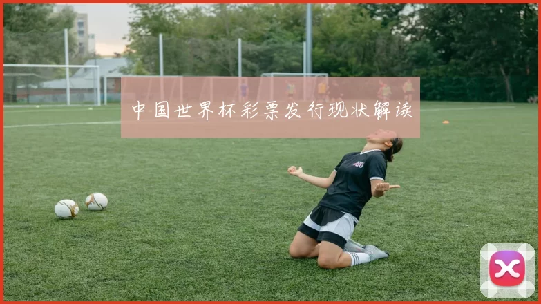 中国世界杯彩票发行现状解读