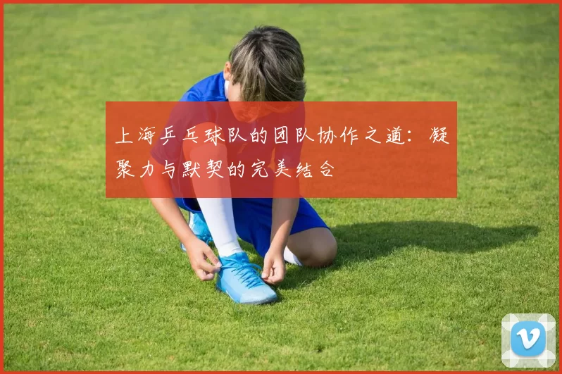 上海乒乓球队的团队协作之道:凝聚力与默契的完美结合